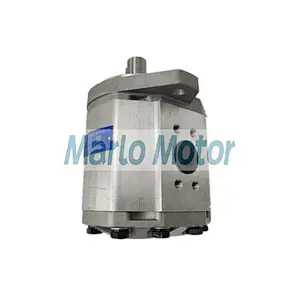 Hot sales Turolla SNW3NN SNQ3NN SNP3NN SEP3NN SNW2NN SNQ2NN SNP2NN SEP2NN hydraulic gear pump