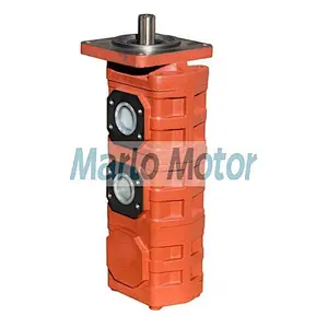 Hot sales CBKP of CBKP32 CBKP40 CBKP50 CBKP63 CBKP80 CBKP100 tandem hydraulic gear pump