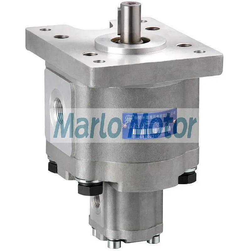 CBQW-F5-E2 of CBQW-F563-E204 CBQW-F550-E204 CBQW-F540-E204 CBQW-F532-E204 CBQW-F525-E204 CBQW-F520-E204 double gear pump
