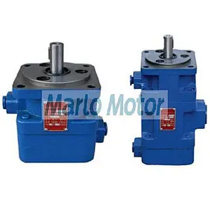 YB1 of YB1-2.5 YB1-4 YB1-6.3 YB1-10 YB1-16 YB1-20 YB1-25 YB1-40 YB1-50 YB1-63 YB1-80 YB1-100 hydraulic double vane pump