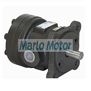 Hot sales DVS of DVSF-1V DVSF-2V DVSF-3V DVSF-4V DVSF-5V DVSF-6V DVSB-1V DVSB-2V DVSB-3V DVSB-4V DVSB-5V hydraulic vane pump