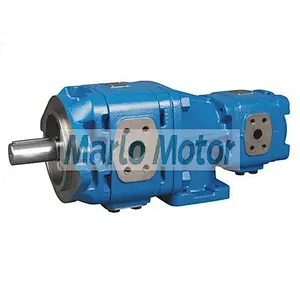 Hot sales Sunny HG series of HG10 HG11 HG21 HG22 double hydraulic internal gear pump