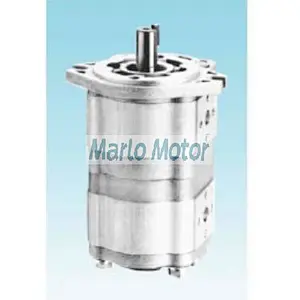 CBWL-E3 of CBWL-E325 CBWL-E320 CBWL-E316 CBWL-E310 CBWL-E308 CBWL-E306 double gear pump
