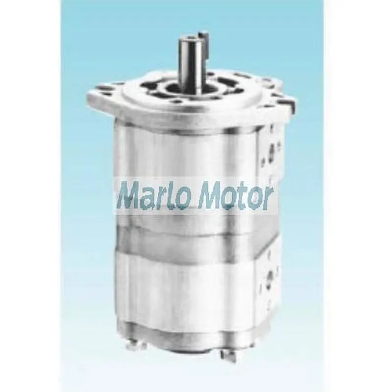 CBWL-E3 of CBWL-E325 CBWL-E320 CBWL-E316 CBWL-E310 CBWL-E308 CBWL-E306 double gear pump
