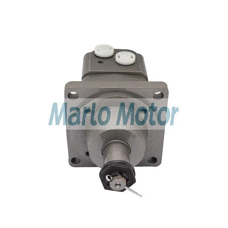 BM3W of BM3W100 BM3W125 BM3W160 BM3W200 BM3W250 BM3W315 BM3W400 BM3W500 hydraulic wheel motor