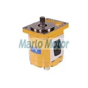 CBH-G5 series of CBH-G520 CBH-G525 CBH-G532 CBH-G540 CBH-G550 CBH-G563 cast iron hydraulic gear pump