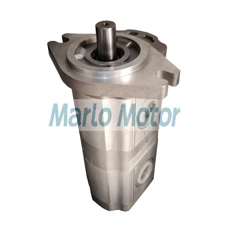 CBWL-E3 of CBWL-E325 CBWL-E320 CBWL-E316 CBWL-E310 CBWL-E308 CBWL-E306 double gear pump