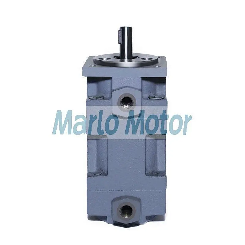 YB1 of YB1-2.5 YB1-4 YB1-6.3 YB1-10 YB1-16 YB1-20 YB1-25 YB1-40 YB1-50 YB1-63 YB1-80 YB1-100 hydraulic double vane pump
