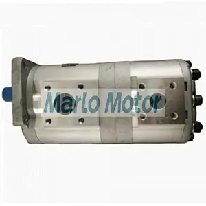 CBNL of CBNL-F563 CBNL-F550 CBNL-F546 CBNL-F540 CBNL-F532 CBNL-F525 CBNL-F520 CBNL-F516 CBNL-F510 double hydraulic gear pump