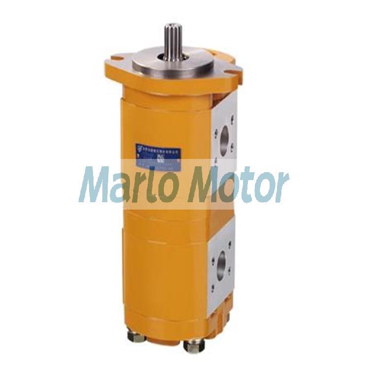 CBHLD-F5-F5 series of CBHLD-F563 CBHLD-F550 CBHLD-F540 CBHLD-F532 CBHLD-F525 CBHLD-F520 cast iron double hydraulic gear pump