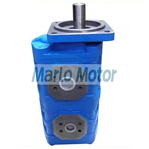 Hot sales CBG2 series of CBG2032 CBG2040 CBG2050 CBG63 CBG2080 double gear oil pump