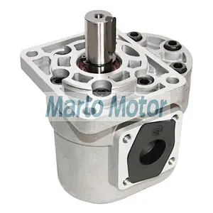 CB-E of CB-E20 CB-E25 CB-E32 CB-E46 CB-E50 rotary hydraulic oil gear pump