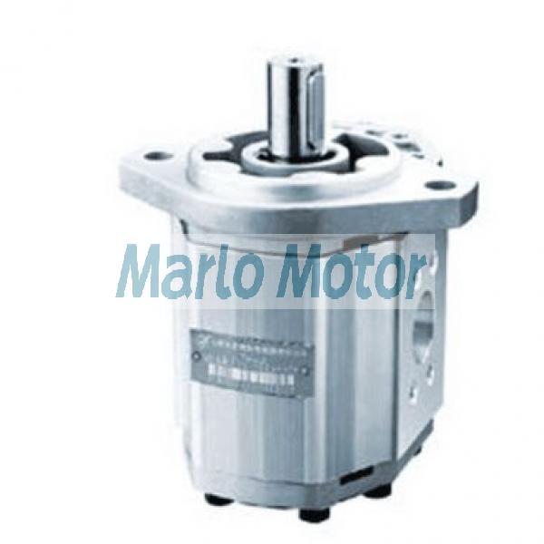 CBW of CBW-F202 CBW-F203 CBW-F204 CBW-F205 CBW-F206 CBW-F304 CBW-F306 CBW-F310 CBW-F314 CBW-F316 CBW-F320 hydraulic gear pump
