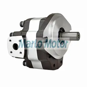Hot sales Eaton GM5 of GM5-5 GM5-6 GM5-8 GM5-10 GM5-12 GM5-16 GM5-20 GM5-25 GM5-30 hydraulic gear motor