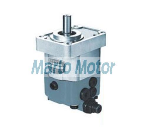 CBWS F-D3 of CBWSF-D304 CBWSF-D306 CBWSF-D308 CBWSF-D310 composite bidirectional gear oil pump