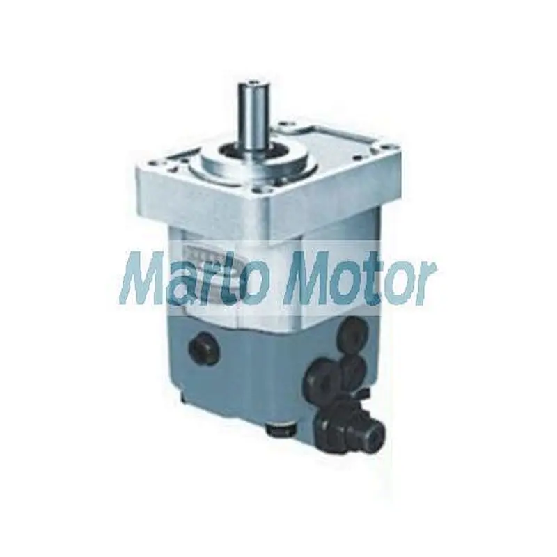 CBWS F-D3 of CBWSF-D304 CBWSF-D306 CBWSF-D308 CBWSF-D310 composite bidirectional gear oil pump