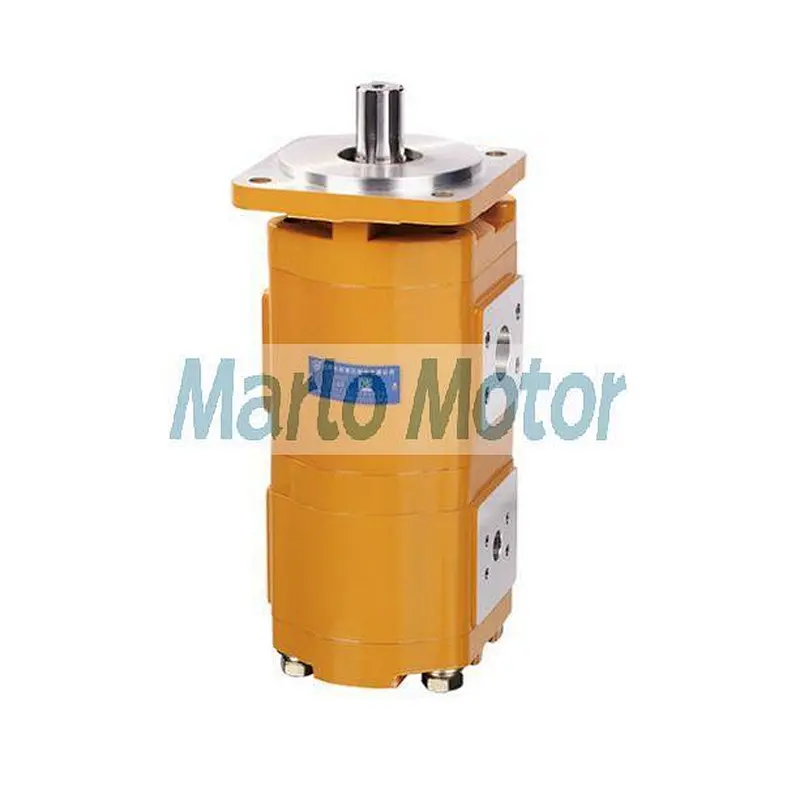 Hot sales CBG2 series of CBG2032 CBG2040 CBG2050 CBG63 CBG2080 double gear oil pump