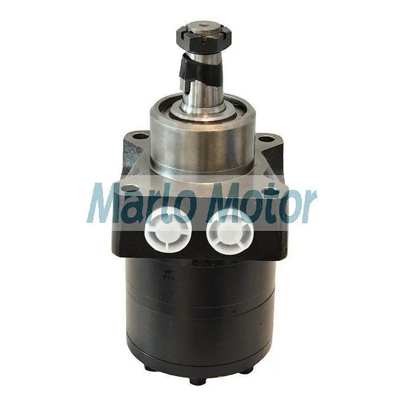 BM3W of BM3W100 BM3W125 BM3W160 BM3W200 BM3W250 BM3W315 BM3W400 BM3W500 hydraulic wheel motor