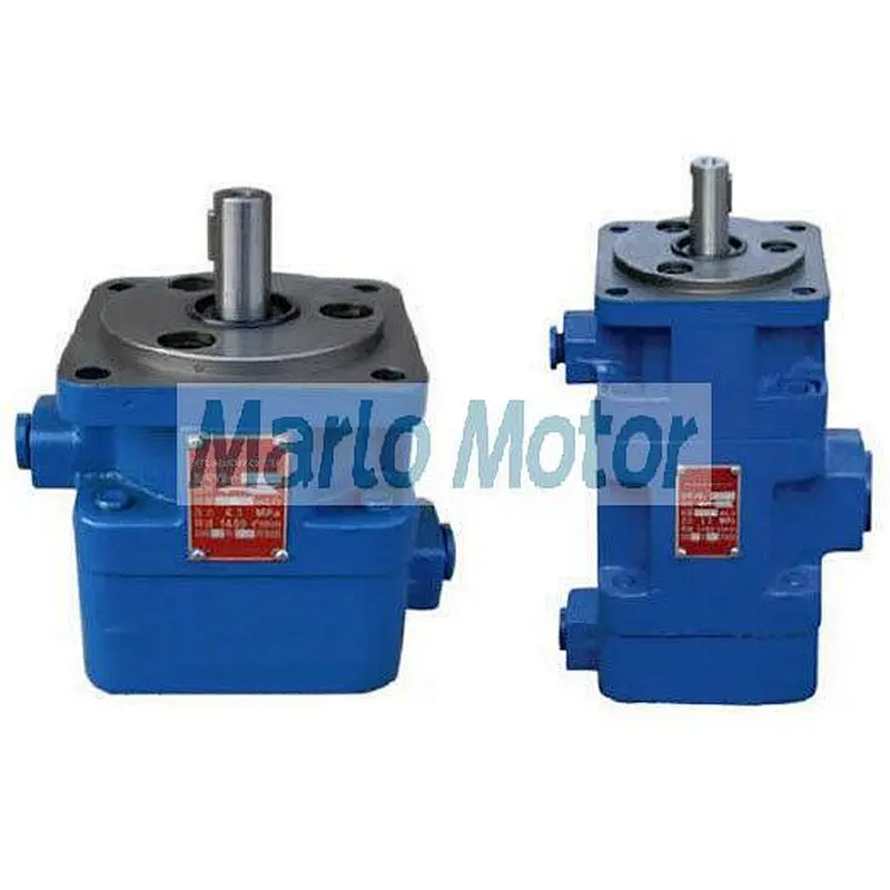 YB1 of YB1-2.5 YB1-4 YB1-6.3 YB1-10 YB1-12.5 YB1-16 YB1-20 YB1-25 YB1-31.5 YB1-50 YB1-63 YB1-80 YB1-100 hydraulic vane pump