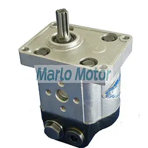 HLCB of HLCB-D00 06 HLCB-D00 10 HLCB-D00 12 HLCB-D00 14 HLCB-D00 16 HLCB-D00 18 HLCB-D00 20 constant overflow gear pump