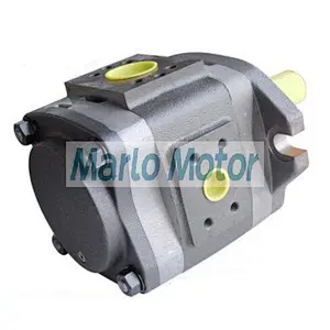 Hot sales IPV series of IPVP3 IPVP4 IPVP5 IPVP6 IPVP7 IPV3 IPV4 IPV5 IPV6 IPV7 IPVS5 IPVS6 hydraulic internal gear pump