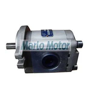 CBTDH-F of CBTDH-F12.5 CBTDH-F14.5 CBTDH-F16 CBTDH-F18 CBTDH-F20 single gear pump