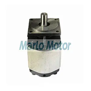 Hot sales CBD-F of CBD-F100 CBD-F80 CBD-F63 CBD-F50 CBD-F532 CBD-F525 CBD-F518 CBD-F510 hydraulic gear pump for truck