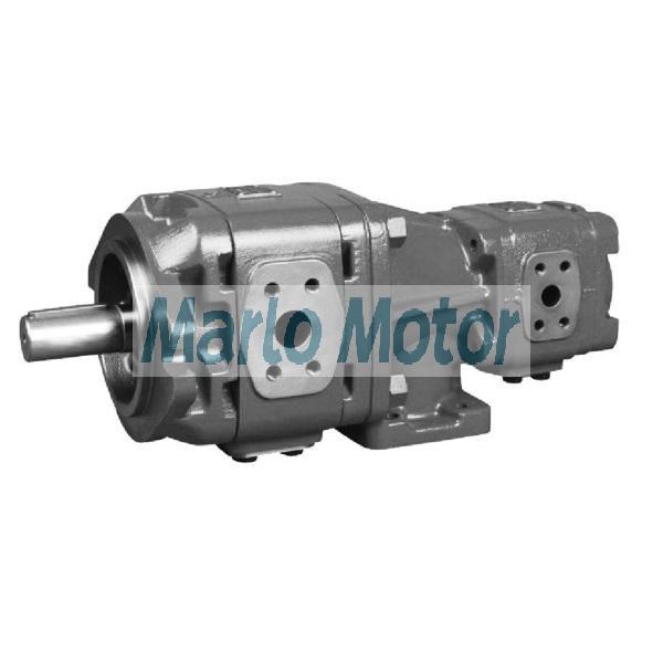 Hot sales Sunny HG series of HG10 HG11 HG21 HG22 double hydraulic internal gear pump