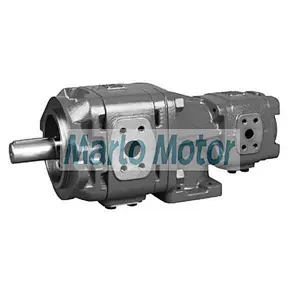 Hot sales Sunny HG series of HG10 HG11 HG21 HG22 double hydraulic internal gear pump