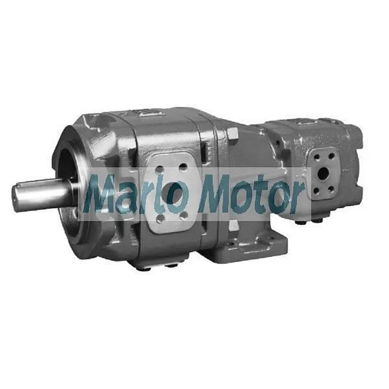 Hot sales Sunny HG series of HG10 HG11 HG21 HG22 double hydraulic internal gear pump