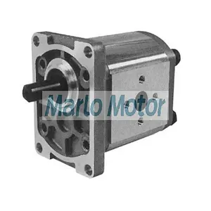 RGP series of RGP-F1 RGP-F2 RGP-F3 RGP-F4 RGP-2A hydraulic power gear pump external gear oil pump