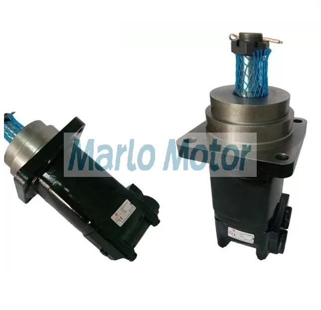 OMSW of OMSW100 OMSW125 OMSW160 OMSW200 OMSW250 OMSW315 OMSW400 OMSW500 hydraulic wheel motor