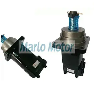 OMSW of OMSW100 OMSW125 OMSW160 OMSW200 OMSW250 OMSW315 OMSW400 OMSW500 hydraulic wheel motor