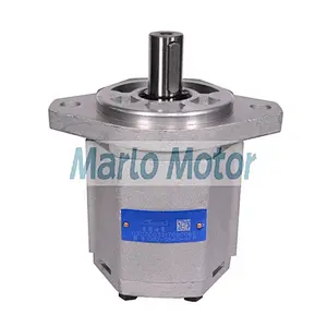 Hot sales CBQ of CBQ-G520 CBQ-G525 CBQ-G532 CBQ-G540 CBQ-G550 CBQ-G563 hydraulic rotary gear pump hangcha forklift truck pump