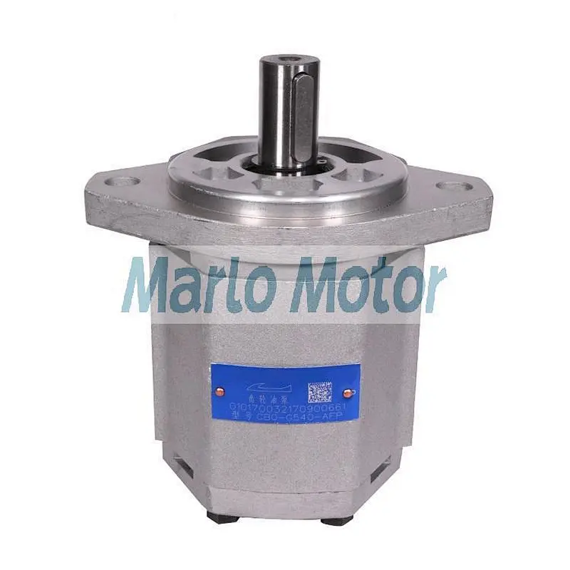 Hot sales CBQ of CBQ-G520 CBQ-G525 CBQ-G532 CBQ-G540 CBQ-G550 CBQ-G563 hydraulic rotary gear pump hangcha forklift truck pump