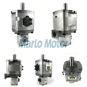 Nachi IPH-22B IPH-23B IPH-24B IPH-25B IPH-26B IPH-33B IPH-34B IPH-35B IPH-36B IPH-44B IPH-45B IPH-46B IPH-55B double pump
