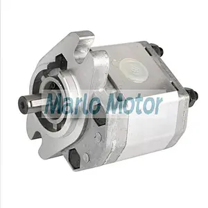 Marzocchi GHP1A series of GHP1A-D-2 GHP1A-D-3 GHP1A-D-4 GHP1A-D-5 GHP1A-D-6 hydraulic gear pump