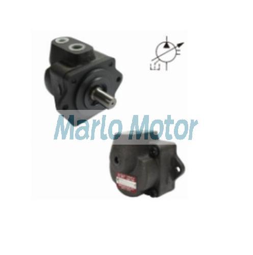 DS series of DS11P DS12P DS13P DS14P DS15P compact type single stage vane pump