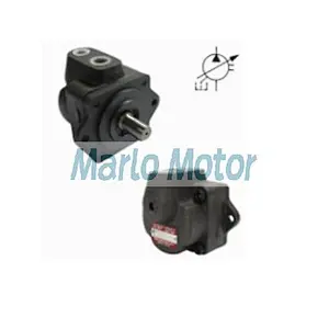 DS series of DS11P DS12P DS13P DS14P DS15P compact type single stage vane pump
