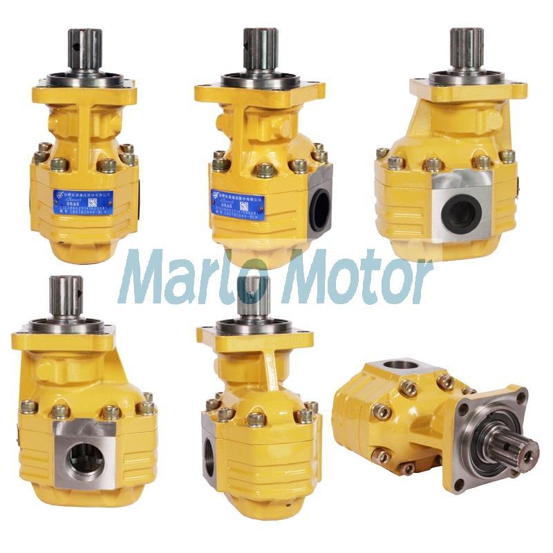 CBGTB2 series of CBGTB2080-BLH CBGTB2063-BLH CBGTB2050-BLH cast iron hydraulic gear pump