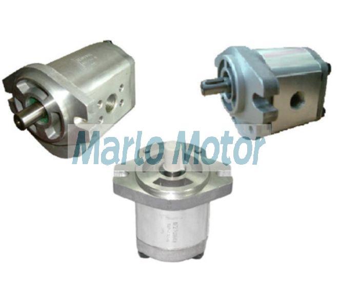 RGP series of RGP-F304R RGP-F306R RGP-F308R RGP-F310R RGP-F312R RGP-F314R RGP-F316R RGP-F318R RGP-F320R hydraulic gear pump