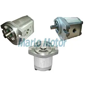 RGP series of RGP-F304R RGP-F306R RGP-F308R RGP-F310R RGP-F312R RGP-F314R RGP-F316R RGP-F318R RGP-F320R hydraulic gear pump