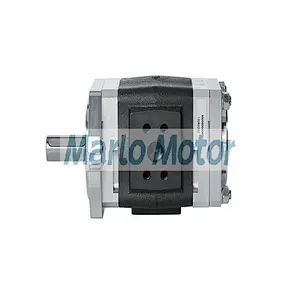 ECKERLE EIPH series of EIPH2 EIPH3 EIPH6 hydraulic internal gear high pressure pumps