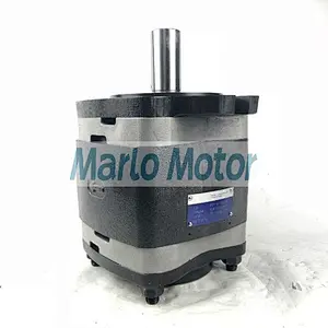 Hot sales IPV series of IPVP3 IPVP4 IPVP5 IPVP6 IPVP7 IPV3 IPV4 IPV5 IPV6 IPV7 IPVS5 IPVS6 hydraulic internal gear pump