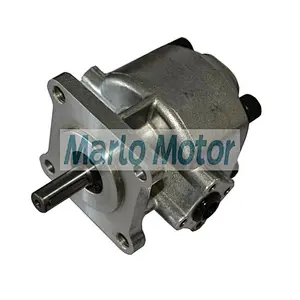 Hot sales PA1RD66 PA2RD66 PA3RD66 PA4RD66 PA5RD66 PA6RD66 PA7RD66 PA8RD66 PA9RD66 PA10RD66 PA11RD66 PA12RD66 hydraulic gear pump