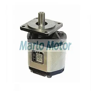 Hot sales CBD-F of CBD-F100 CBD-F80 CBD-F63 CBD-F50 CBD-F532 CBD-F525 CBD-F518 CBD-F510 hydraulic gear pump for truck