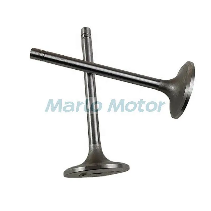 Engine intake valve 6N9915 exhaust valve 2W2620 7N0572 1007861 1487455 7N0573 148-7455 valve guide 1487425 for CAT 3304 3306