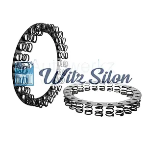 DSI M11 Spring Clutch 0511156212 OEM Durm Overhaul kit transmission 0511 156 212 0511 156212