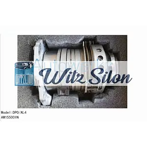 Peugeot Citroen parts clutch  DP0 AL4 Input drum