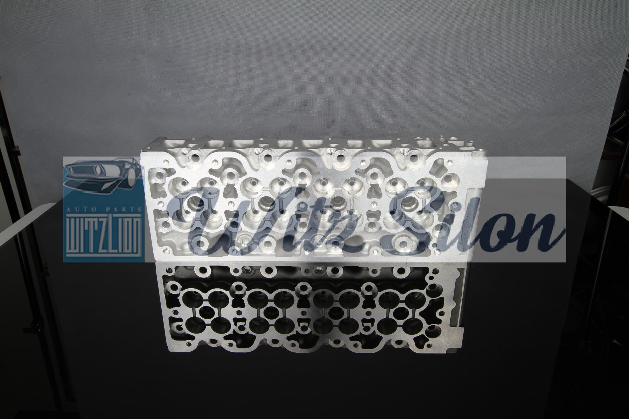 CYLINDER HEAD ISUZU 4JX1 8972451841 /  3.0L